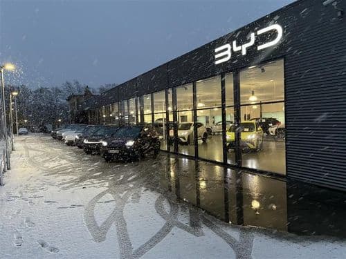 BYD satser stort: Åbner tre nye showrooms i Danmark